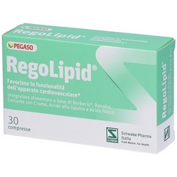 RegoLipid Tablets 30g