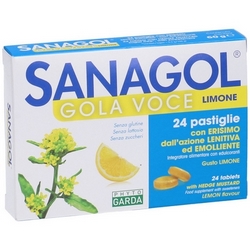 Sanagol Throat Voice Lemon Sugar Free Candy 60g