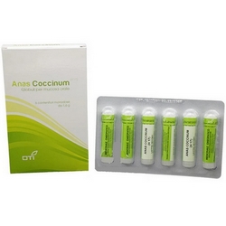 Anas Coccinum Globules