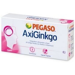 AxiGinkgo Capsules 24g