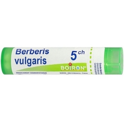Berberis 5CH Granules