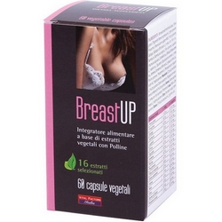 Breast Up Capsules 45g