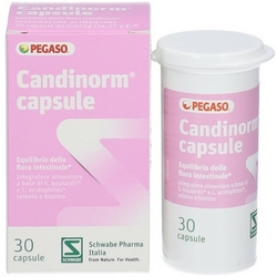 Candinorm Capsule 15,75g