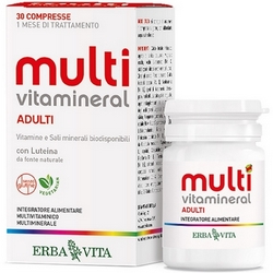 Reintegra Multivitamineral Adult Tablets 39g
