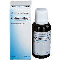 Galium-Heel Gocce