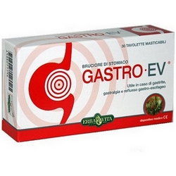 Gastro Ev Chewable Tablets 30g
