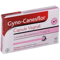 Gyno-Canesflor Capsule Vaginali