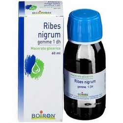 Ribes Nigrum MG 1DH 60mL