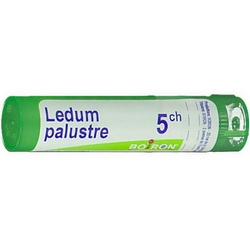 Ledum Palustre 5CH Granuli - Pagina prodotto: https://www.farmamica.com/store/dettview.php?id=11460