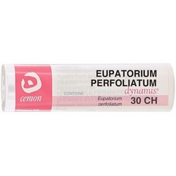 Eupatorium Perfoliatum 30CH Granules CeMON - Product page: https://www.farmamica.com/store/dettview_l2.php?id=12075