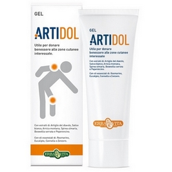 ArtiDol Gel 100mL - Product page: https://www.farmamica.com/store/dettview_l2.php?id=1264