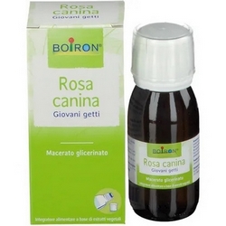Rosa Canina MG 1DH 60mL - Pagina prodotto: https://www.farmamica.com/store/dettview.php?id=2381