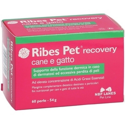Ribes Pet Recovery Perle 40,2g - Pagina prodotto: https://www.farmamica.com/store/dettview.php?id=6936