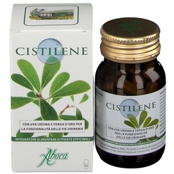 Cistilene Capsules 25g - Product page: https://www.farmamica.com/store/dettview_l2.php?id=7078