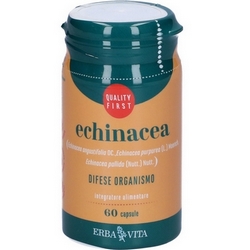 Echinacea EBV Capsules 30g - Product page: https://www.farmamica.com/store/dettview_l2.php?id=8414